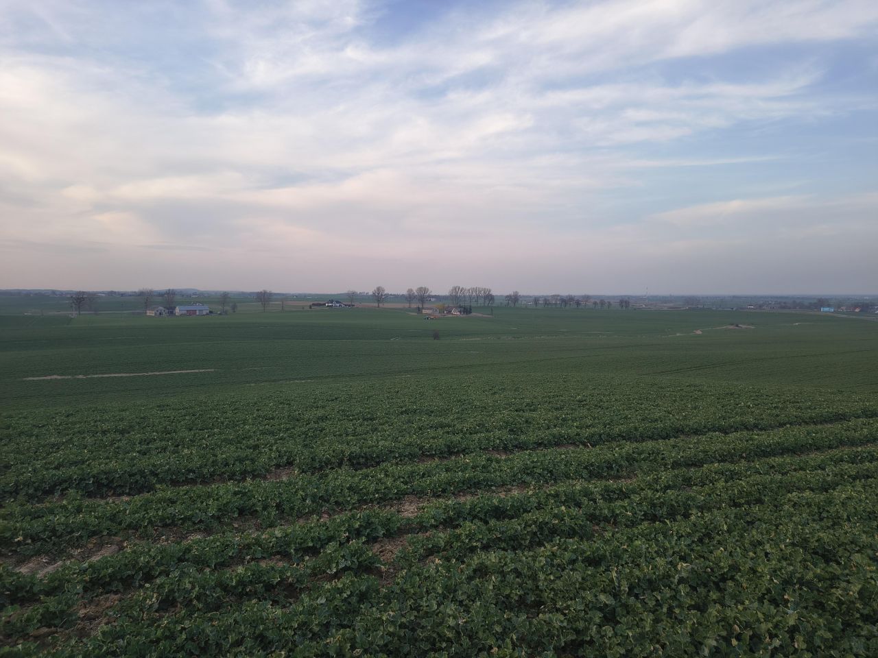 Działka budowlana Lubiszewo Tczewskie. Zdjęcie 5