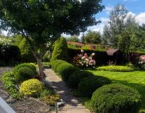 Działka rod Głogów, ul. Adama Mickiewicza. Zdjęcie 3