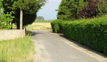 Działka rolno-budowlana Bednary-Kolonia