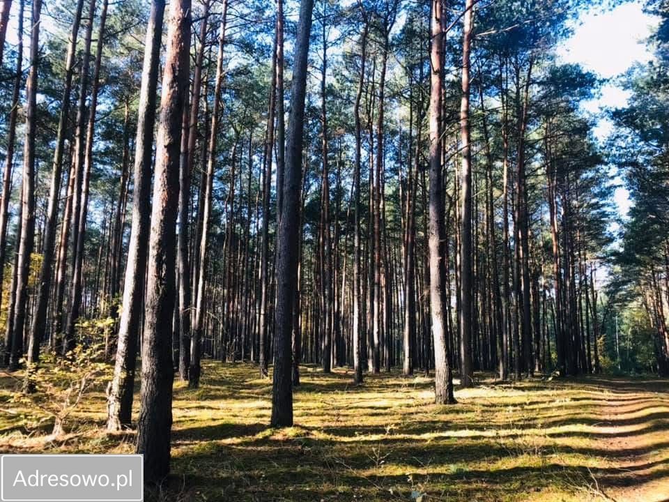 dom letniskowy, 3 pokoje Szydłówiec. Zdjęcie 14