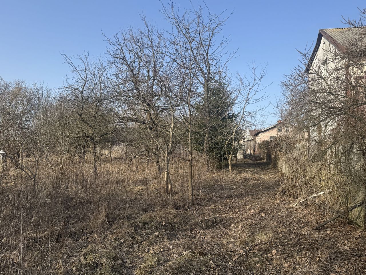 Działka siedliskowa Krzewina, Krzewina. Zdjęcie 14