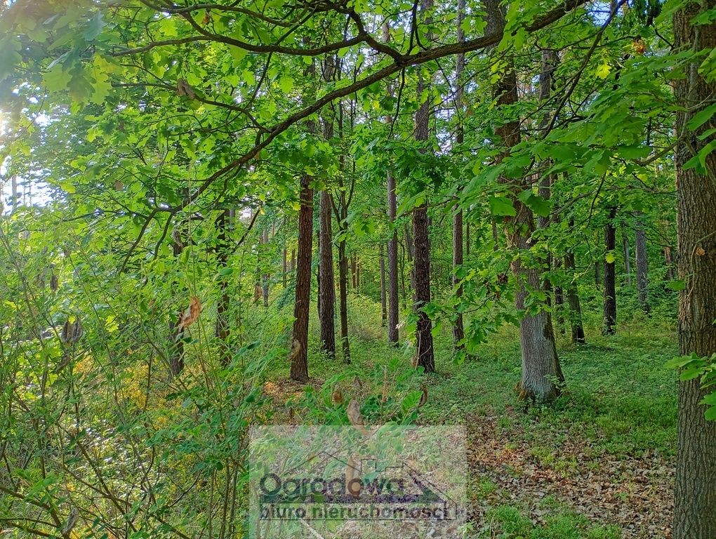 Działka budowlana Magdalenka. Zdjęcie 3