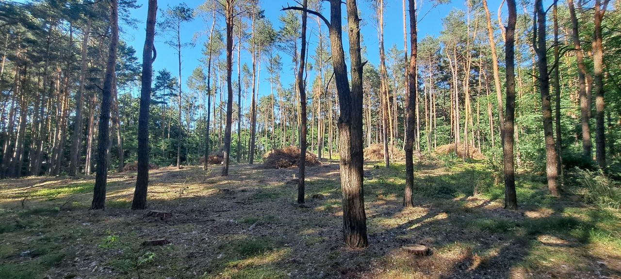 Działka inna Wypychów. Zdjęcie 1