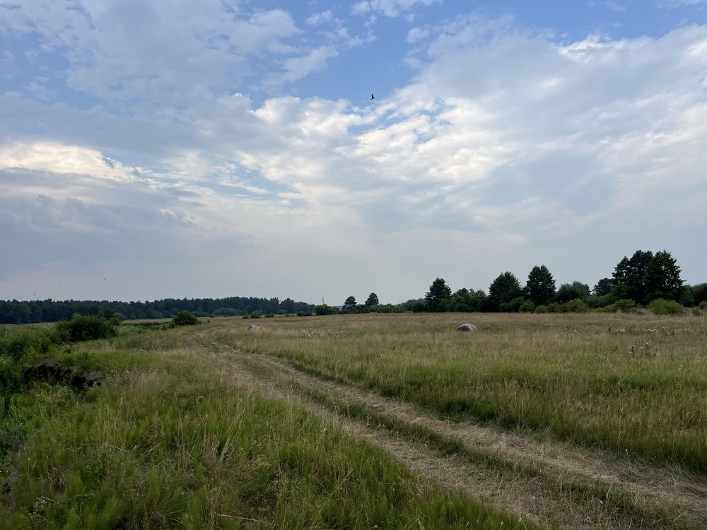 Działka rolna Jarnice. Zdjęcie 6