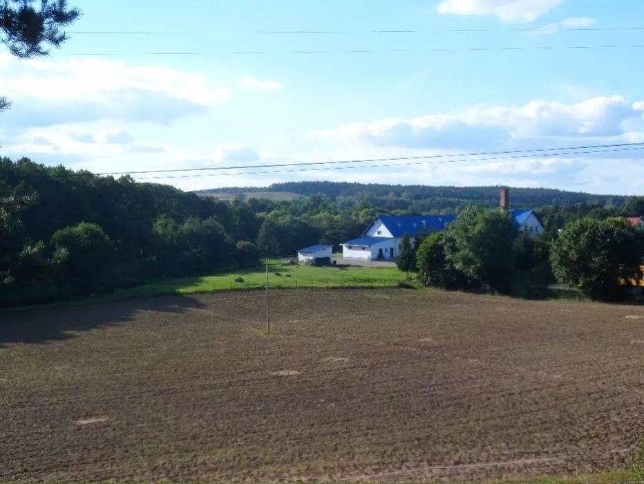 Nieruchomość komercyjna Bartniczka, ul. Brodnicka. Zdjęcie 3