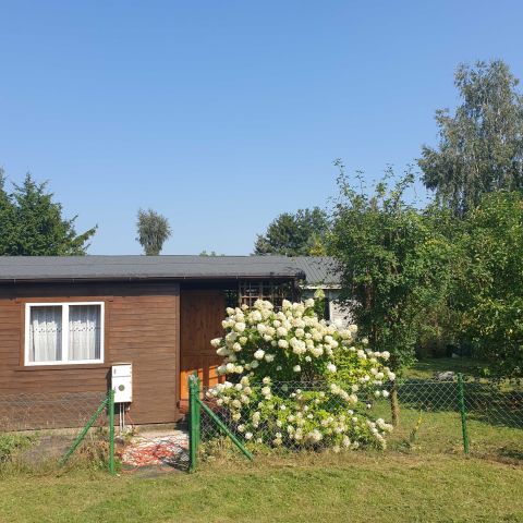 Działka rekreacyjna Zduńska Wola, ul. Łódzka. Zdjęcie 1