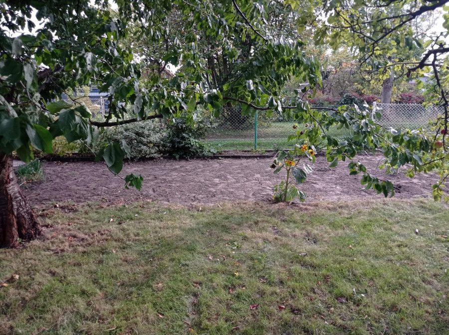 Działka rod Gdynia Oksywie, ul. Belwederska. Zdjęcie 5