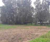 Działka budowlana Bieżuń, ul. Polna. Zdjęcie 1