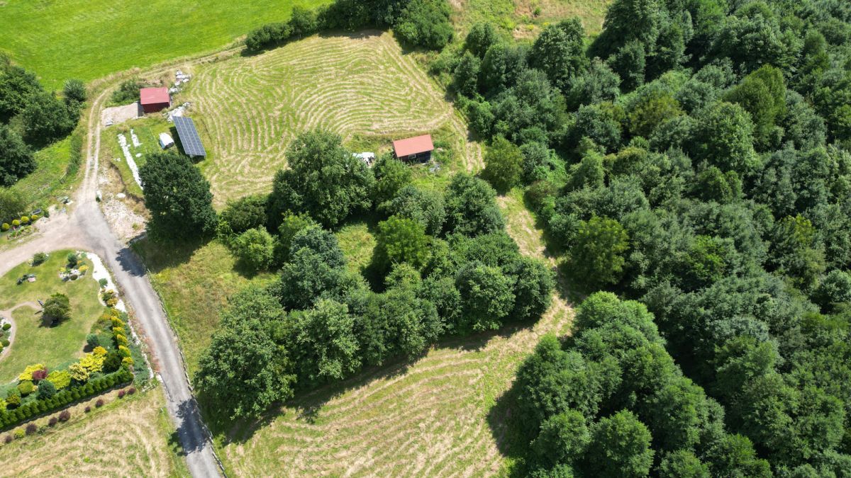 Lokal Gaj Brzyczyna, ul. Spadzista. Zdjęcie 3
