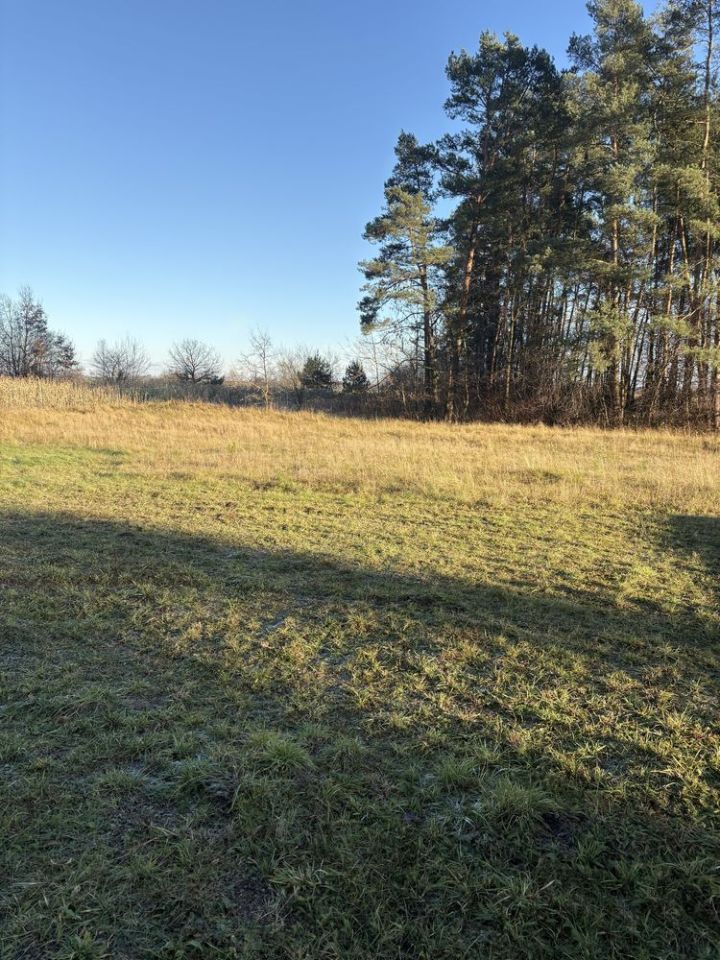 Działka budowlana Plęsy. Zdjęcie 6