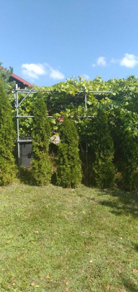 Działka rod Gorlice, ul. kard. Stefana Wyszyńskiego. Zdjęcie 3