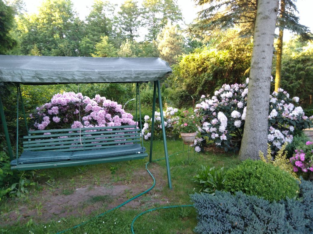 Działka budowlana Łosie, ul. Czyżyka. Zdjęcie 31