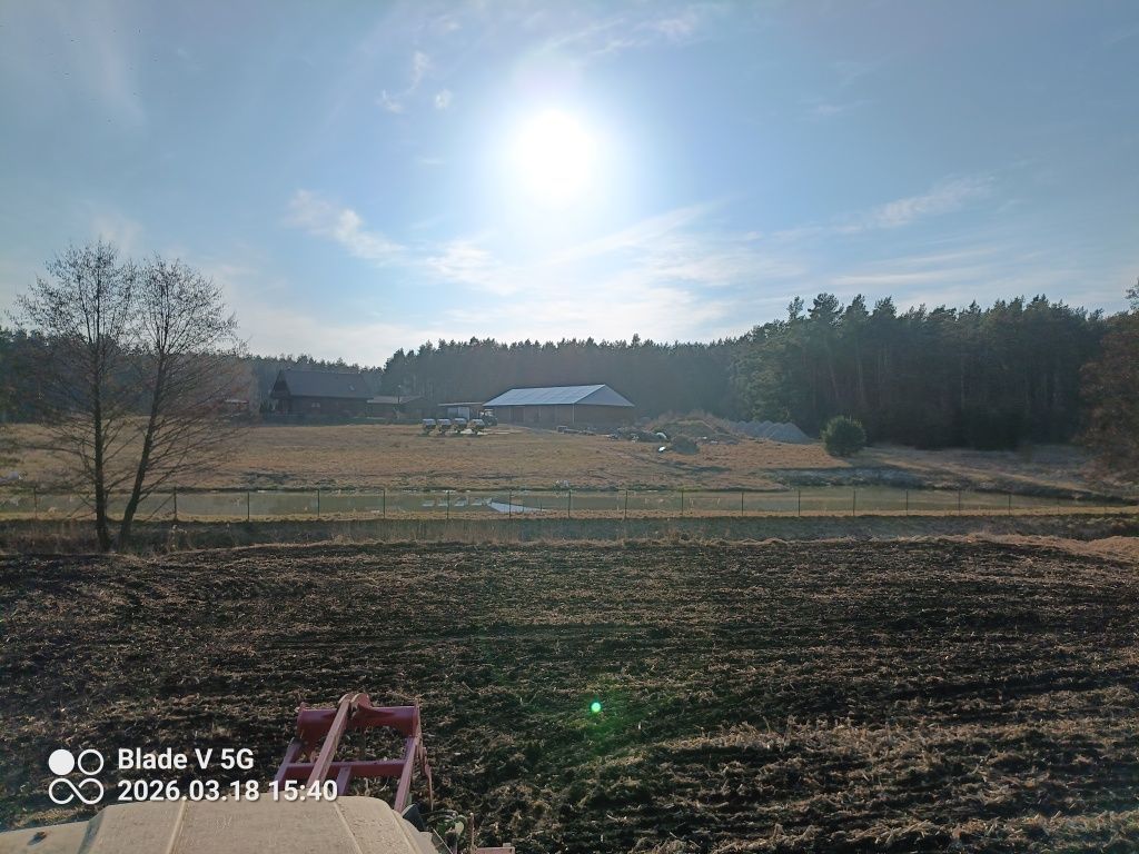 Działka rekreacyjna Małe Pułkowo. Zdjęcie 4