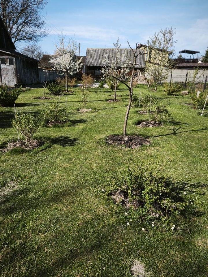 dom wolnostojący, 3 pokoje Skarżysko Kościelne. Zdjęcie 3