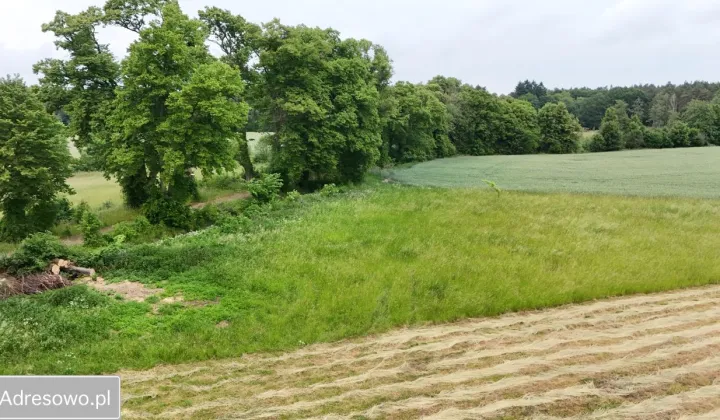 Działka rolno-budowlana Głazów