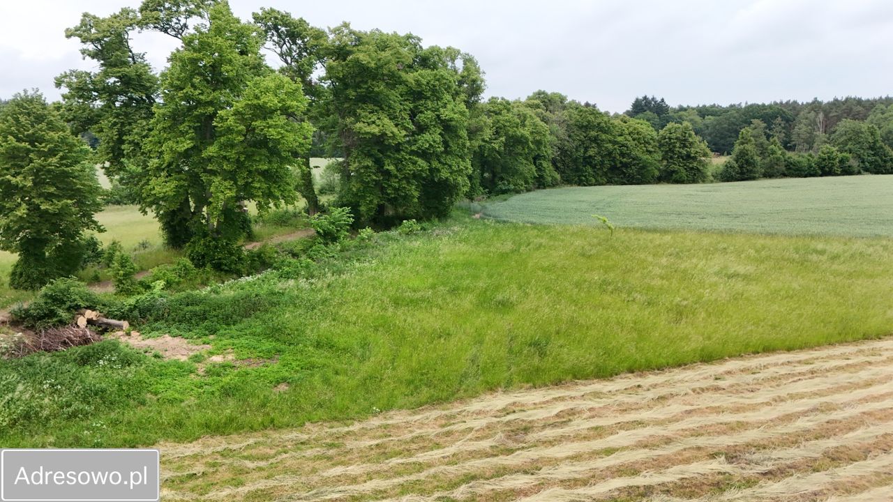 Działka rolno-budowlana Głazów. Zdjęcie 1