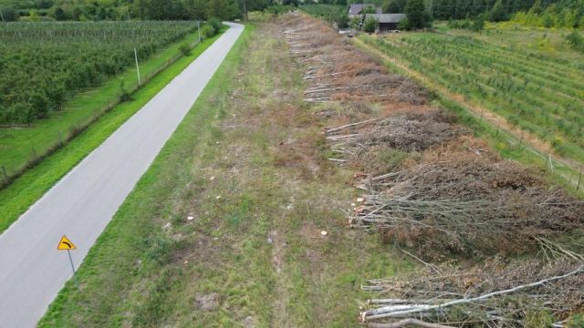 Działka budowlana Stefanówka. Zdjęcie 4
