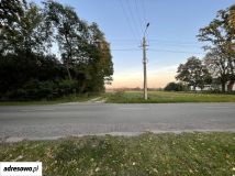 Działka budowlana Zadębie. Zdjęcie 3