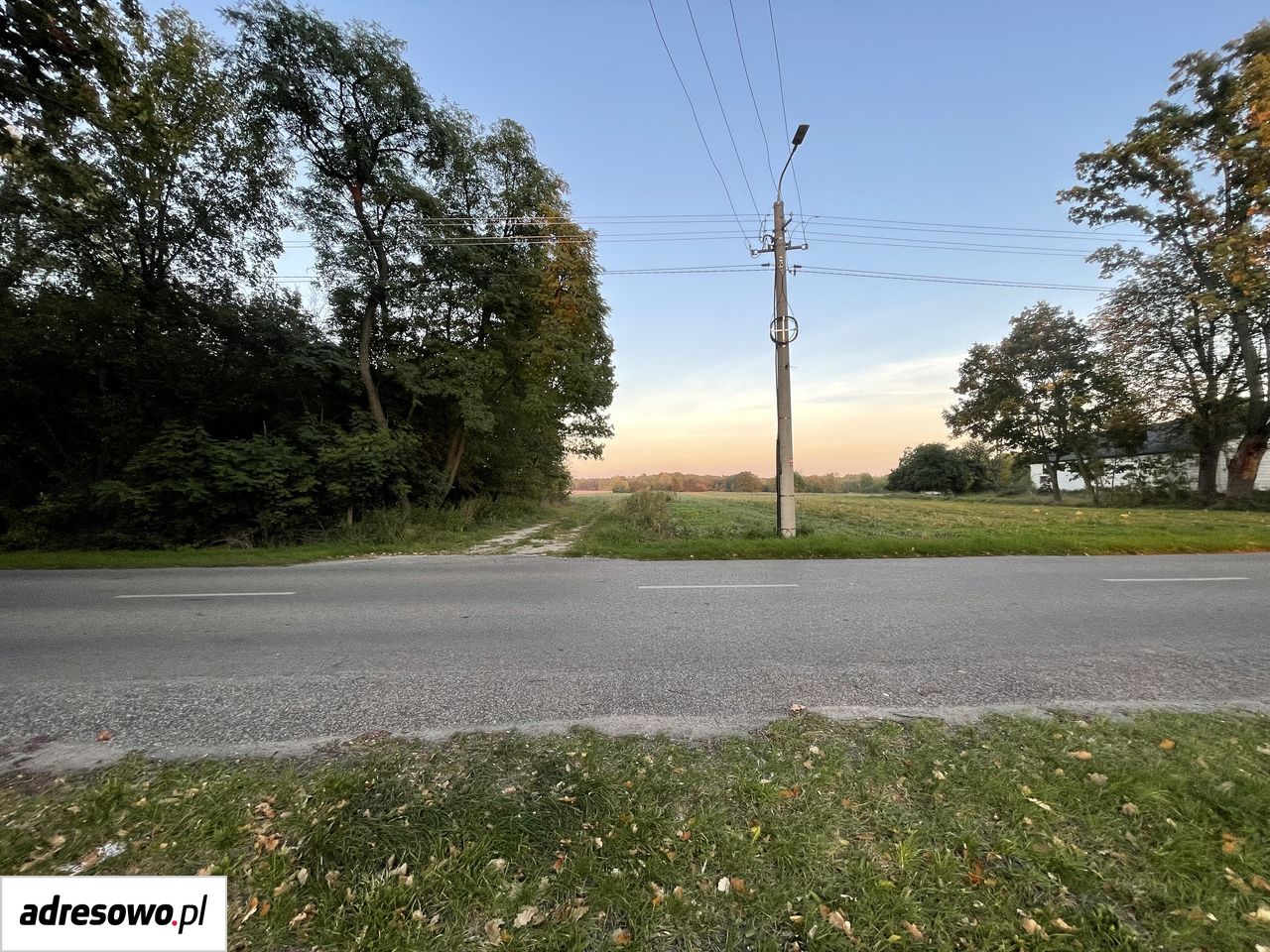 Działka budowlana Zadębie. Zdjęcie 4