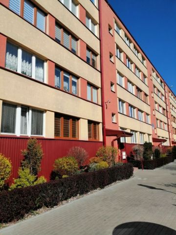 Mieszkanie 2-pokojowe Bełchatów, os. 1 Maja. Zdjęcie 1