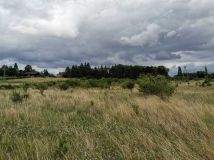 Działka budowlana Dołuje, ul. Żubrza. Zdjęcie 2