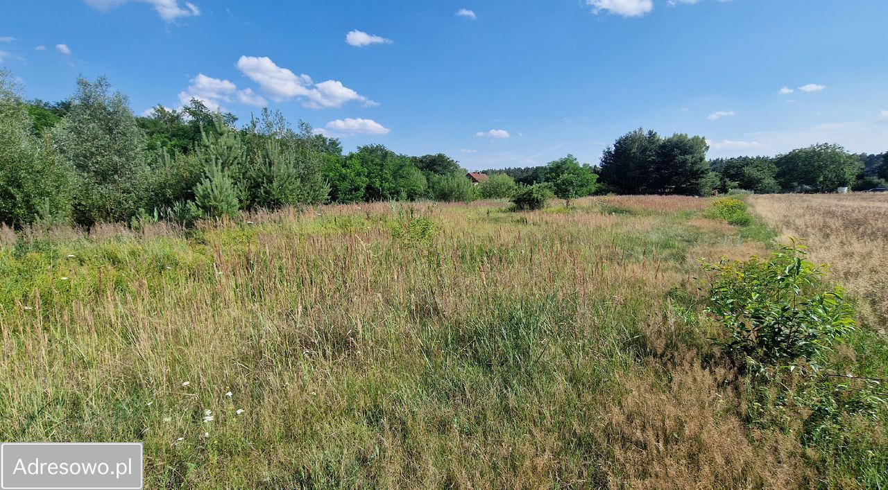 Działka inna Mogilno Duże. Zdjęcie 5