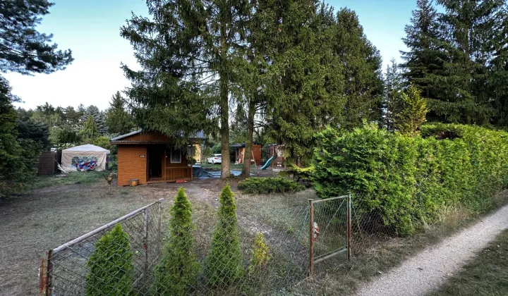 Działka rod Złotokłos