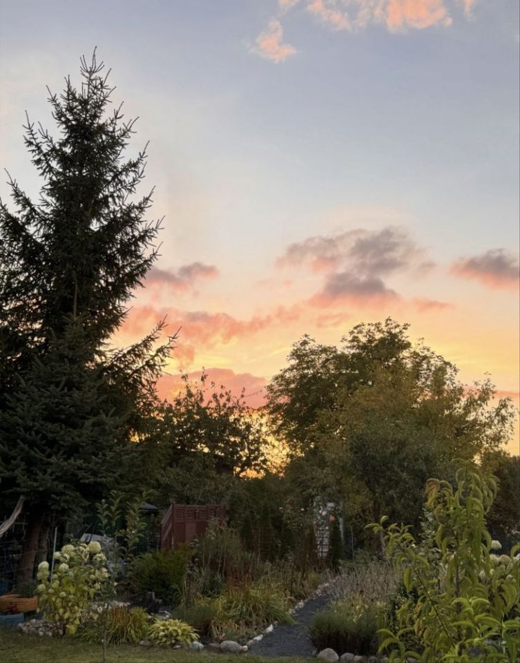 Działka rod Bolesławiec. Zdjęcie 3