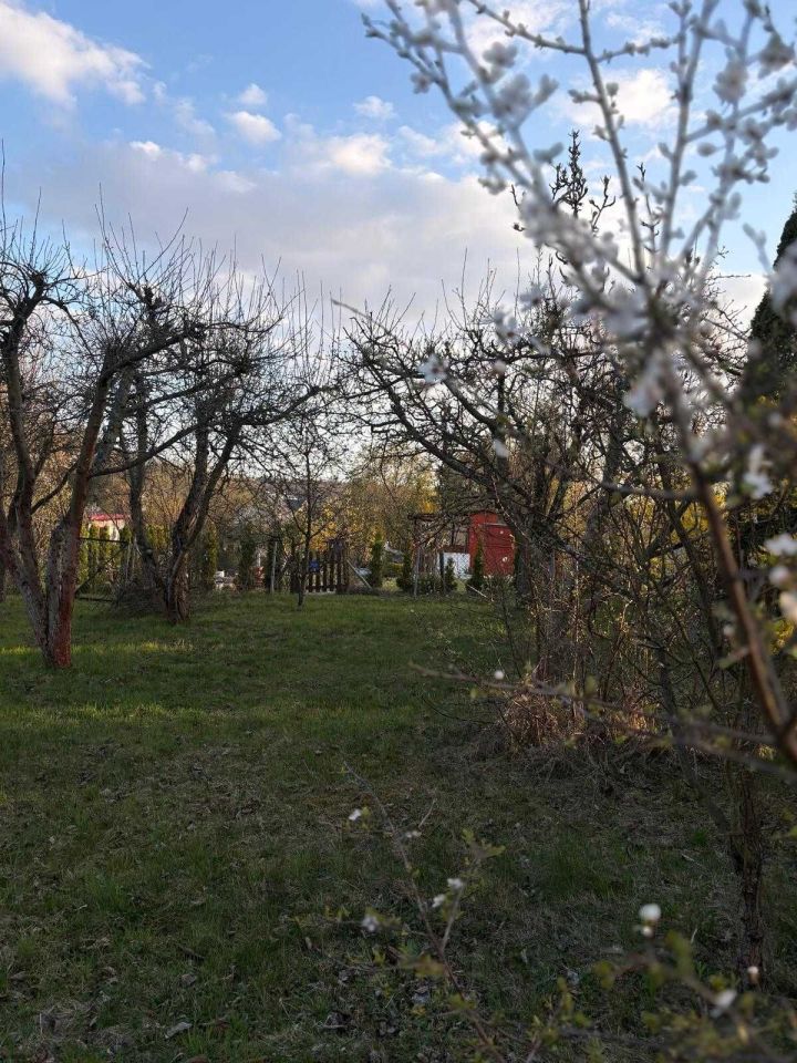 Działka rod Trzebnica. Zdjęcie 6