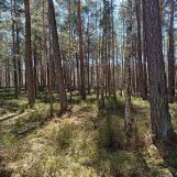 Działka budowlana Żarki-Letnisko, ul. Poranna. Zdjęcie 2