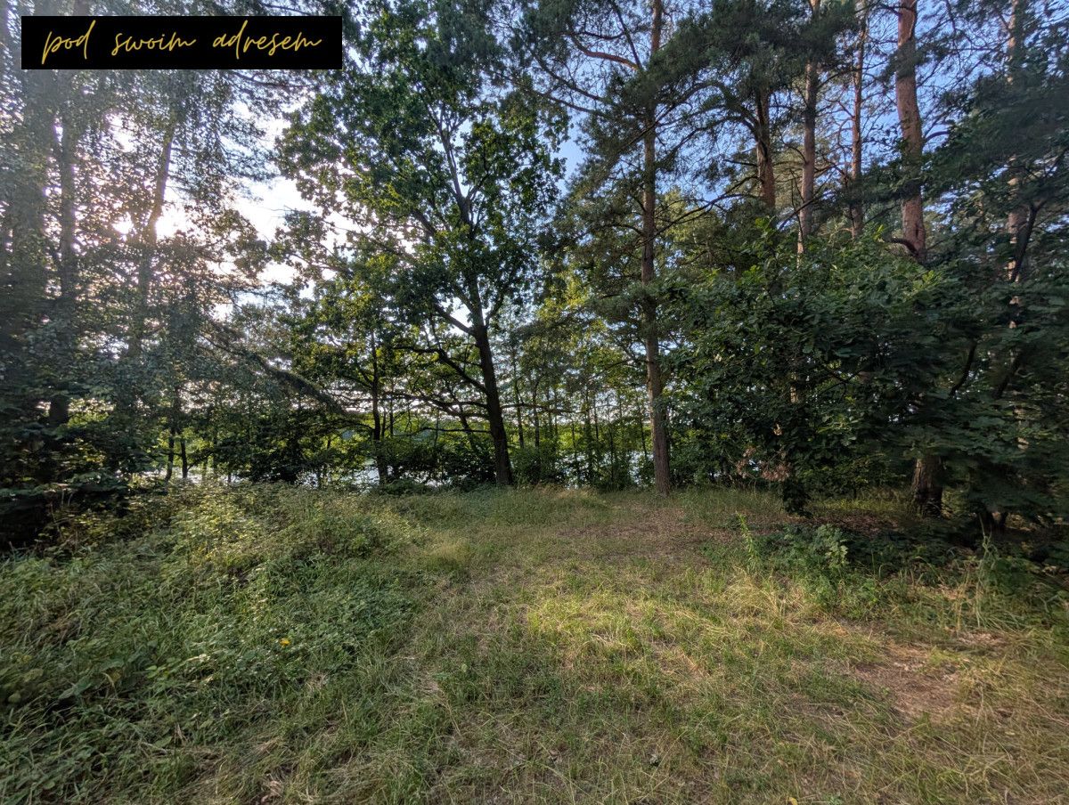 Działka rekreacyjna Małe Łąkie. Zdjęcie 3