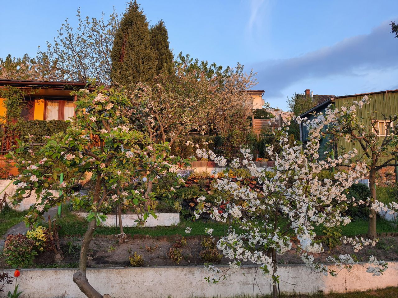 Działka rekreacyjna Gdańsk Zabornia, ul. Cedrowa