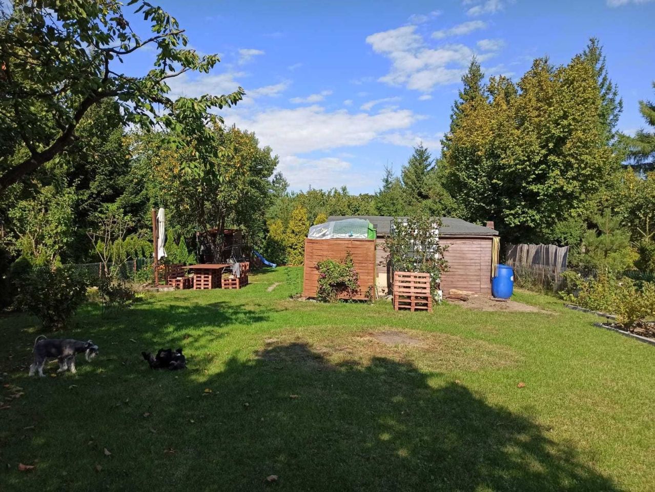 Działka rekreacyjna Łódź Bałuty, ul. Łomnicka. Zdjęcie 2