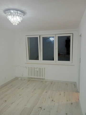 Mieszkanie 1-pokojowe Nowy Dwór Gdański. Zdjęcie 1