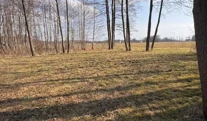 Działka rekreacyjna Sowia Wola