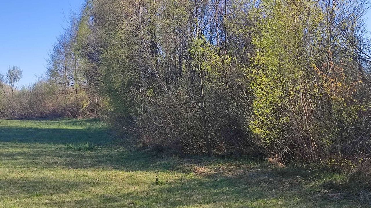 Działka rolno-budowlana Włodowo. Zdjęcie 5