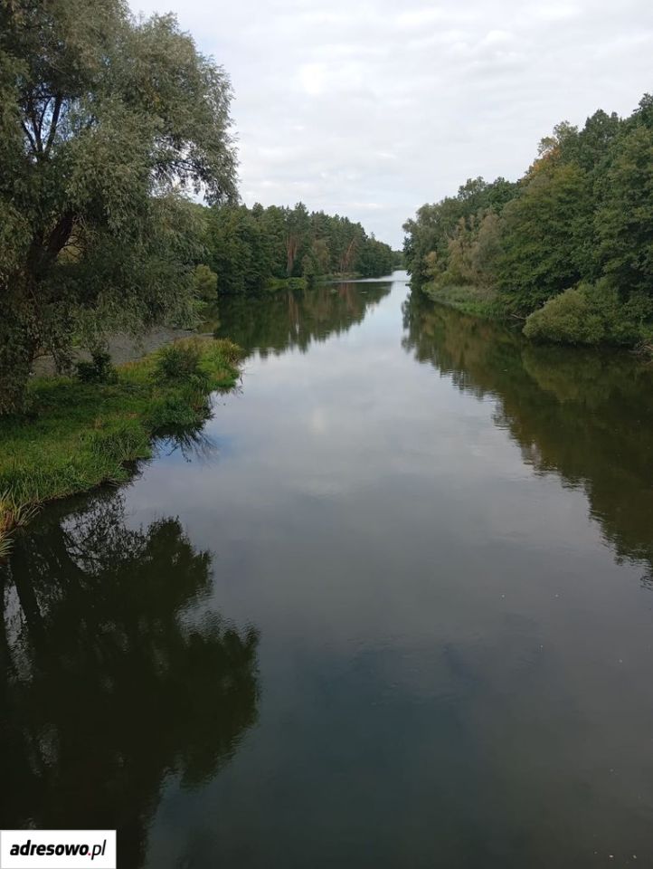 Działka budowlana Bobrowice. Zdjęcie 2