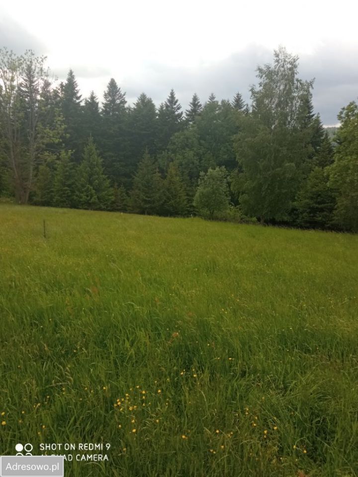 Działka rolno-budowlana Zawoja Błędna. Zdjęcie 9