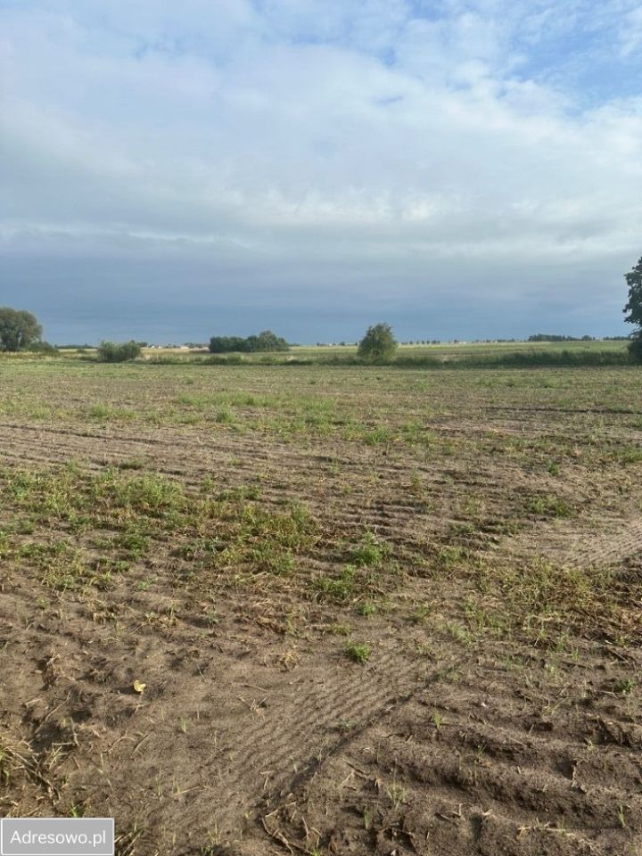 Działka budowlana Jarantów. Zdjęcie 4