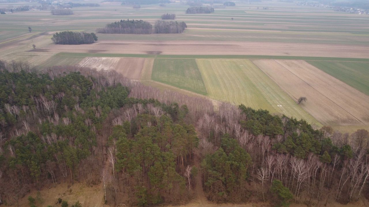 Działka rolno-budowlana Lesieniec. Zdjęcie 7