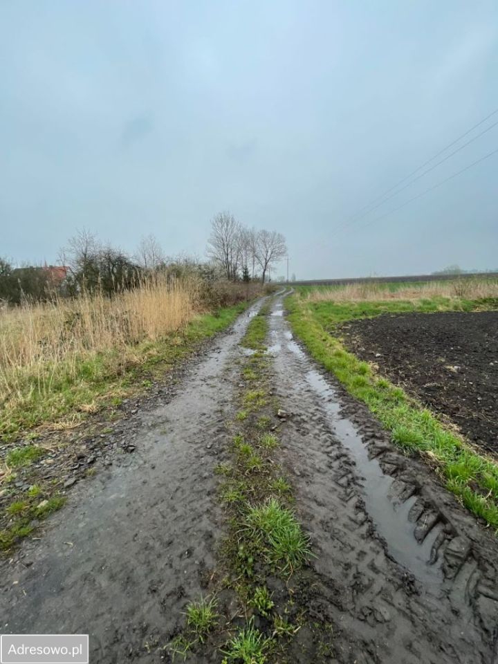 Działka budowlana Przecławice, ul. Strzelińska. Zdjęcie 2