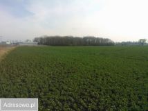 Działka inwestycyjna Pietrzykowice, ul. Fabryczna. Zdjęcie 3