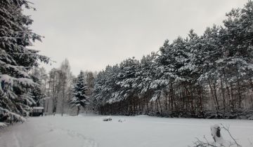 dom wolnostojący, 5 pokoi Barycz Stara