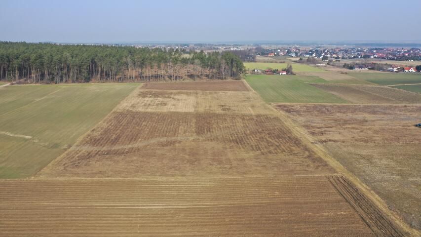 Działka budowlana Stare Kupiski, Przyjazna. Zdjęcie 8