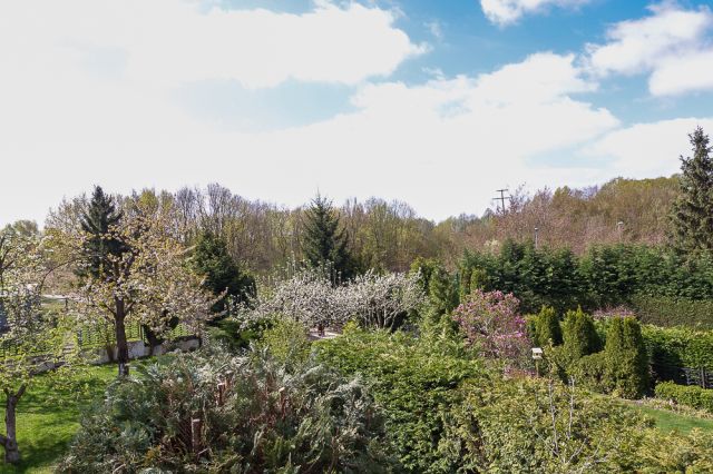 bliźniak, 6 pokoi Szczecin Podjuchy. Zdjęcie 13