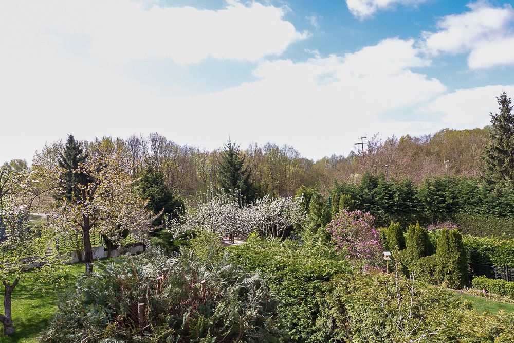 bliźniak, 6 pokoi Szczecin Podjuchy. Zdjęcie 13