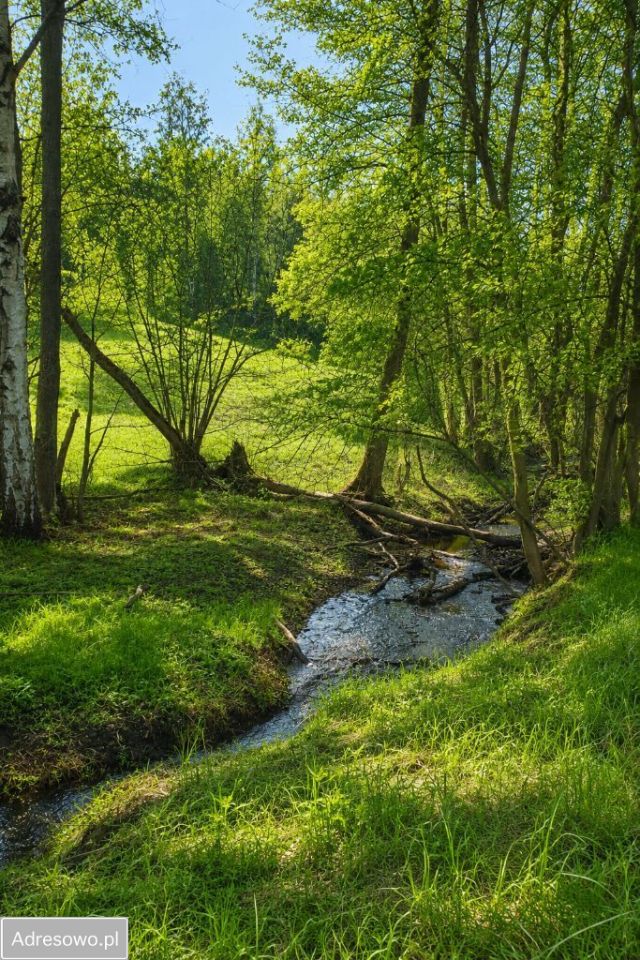 Działka inwestycyjna Konradów. Zdjęcie 9