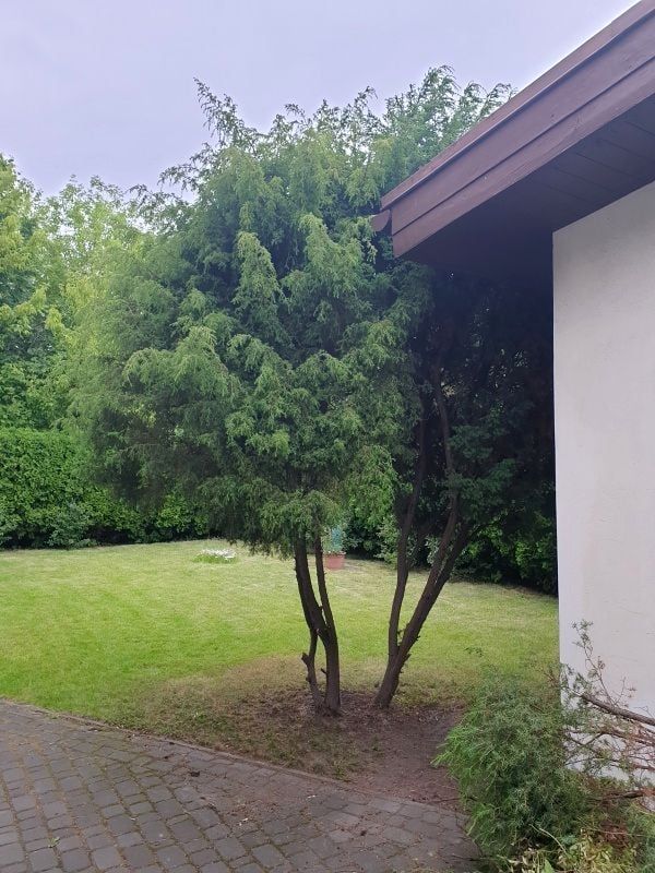 dom wolnostojący, 4 pokoje Warszawa Żoliborz, ul. Henryka Dembińskiego. Zdjęcie 10