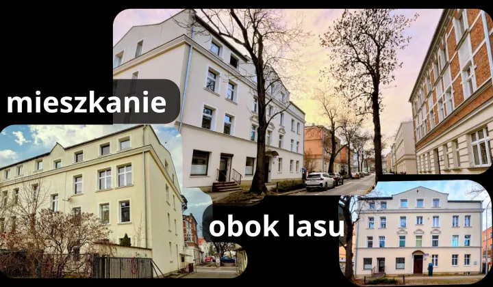 Mieszkanie 3-pokojowe Gdańsk Wrzeszcz, ul. Jesionowa