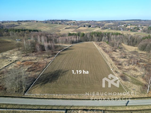 Działka budowlana Chmielnik. Zdjęcie 2